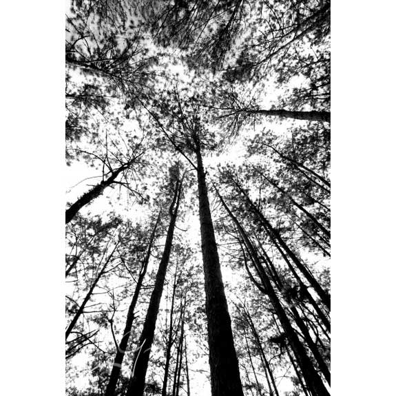 c2fe0016
