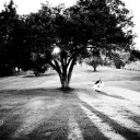 Wedding Photography – Steph and Nathan