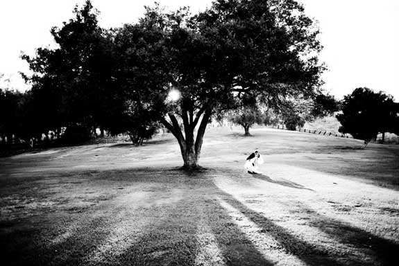 Wedding Photography – Steph and Nathan