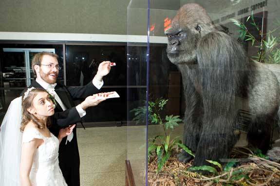 Would you like some wedding cake?