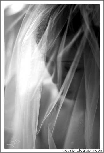 wedding veil